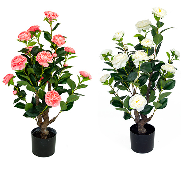  2. Không đặt chậu cây giả trong nhà: Có nhiều bạn thích hoa, vì bận công việc không có thời gian chăm sóc cây xanh nên sẽ đặt những chậu hoa giả ở nhà để trang trí cho môi trường. 