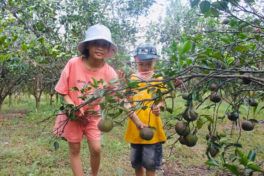 Thich thu voi du lich trai nghiem duoi chan deo To Na-Hinh-2
