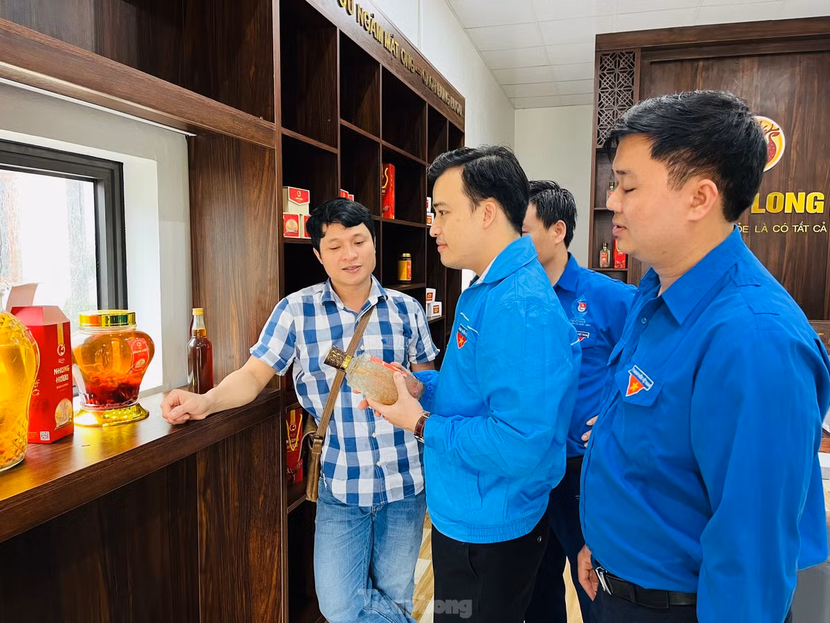 Nong dan phan khoi hai loc nhung huou dip dau nam-Hinh-14