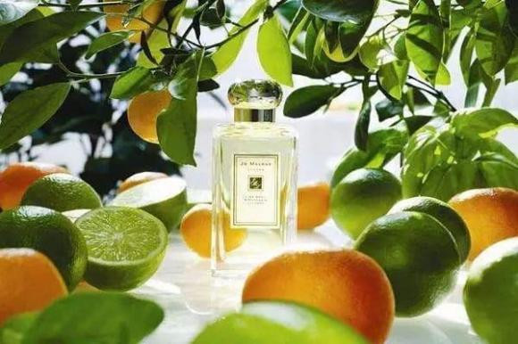 Tac dung phu kho luong khi an rau hung que sai cach-Hinh-2