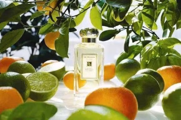 Tac dung phu kho luong khi an rau hung que sai cach-Hinh-2