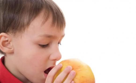 Vi sao noi “dan ong so mieng nho, phu nu so mui to”?-Hinh-3