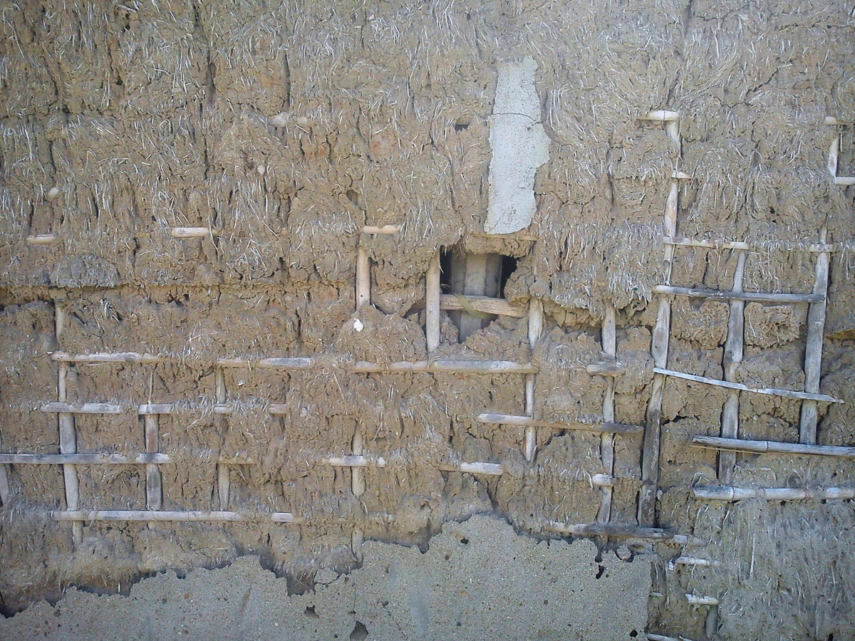 "Tai vách mạch rừng" hay "Tai vách mạch dừng"? ảnh 1