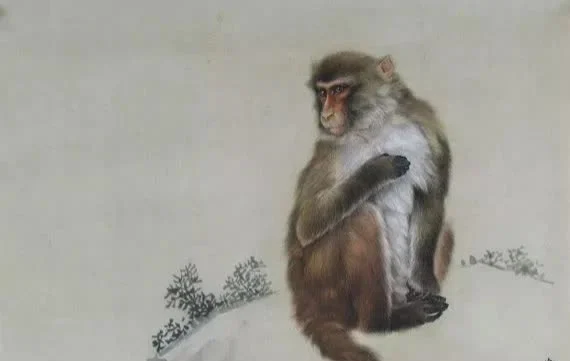 Đồng thời, con giáp này cũng sẽ có vận may tài chính tốt và đạt được những thành tựu bất ngờ trong đầu tư và quản lý tài chính. Sau ngày may mắn này, cuộc sống của các bạn tuổi Thân sẽ tràn ngập ánh nắng, giàu sang, hoa tươi và hạnh phúc. 