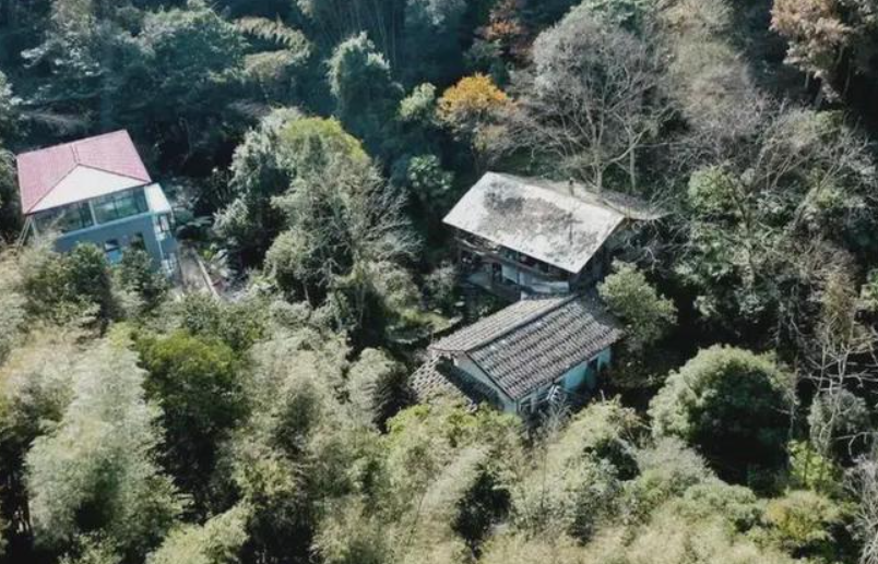 Chan pho, 6 thanh nien bo viec luong cao len nui dung “biet phu“