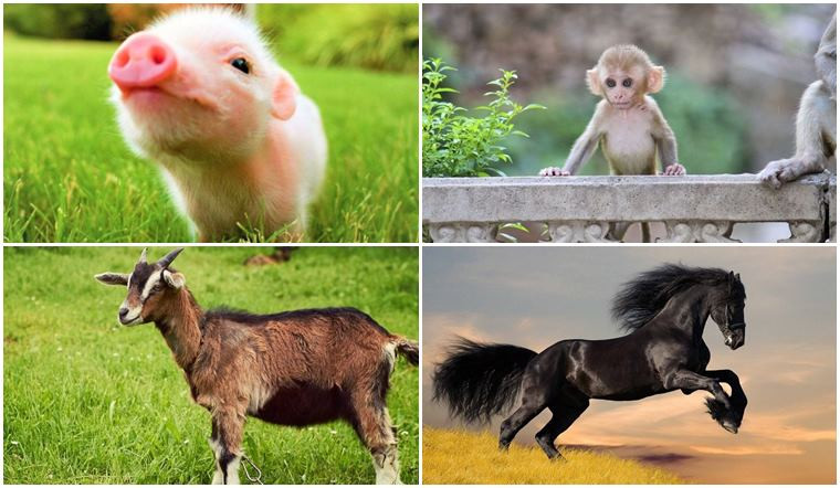 Tất nhiên, trong quá trình theo đuổi sự giàu có, bạn cũng phải duy trì lý trí và thận trọng để tránh mù quáng chạy theo xu hướng và chấp nhận rủi ro. Đồng thời, chúng ta cũng phải hiểu rằng của cải không phải là tất cả trong cuộc sống, trong khi theo đuổi sự thịnh vượng vật chất, chúng ta cũng phải chú ý đến việc làm giàu và cải thiện thế giới tinh thần. Tôi hy vọng mọi người có thể tìm được con đường giàu có cho riêng mình và sống một cuộc sống hạnh phúc trong năm mới. (Bài viết mang tính chất tham khảo và chiêm nghiệm). * Tiêu đề bài viết đã được biên tập lại