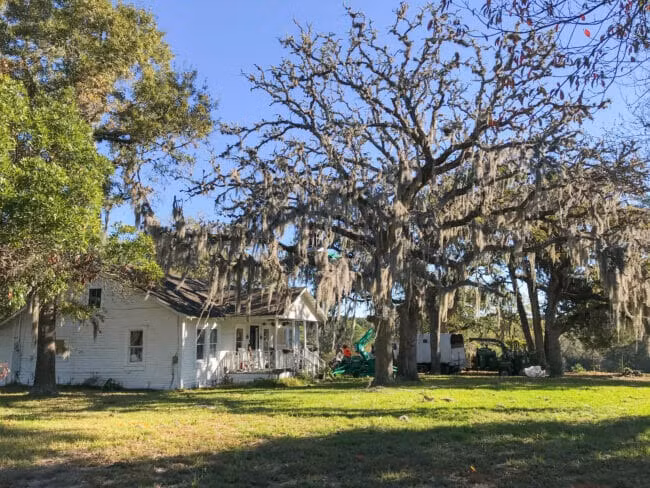  Trong sân có cây quá cao cũng khiến các loại cây, hoa khác mọc không tốt. Những cây quá cao mà người xưa khuyên không nên trồng trong sân, trước nhà như cây hòe, cây dương, cây liễu... 