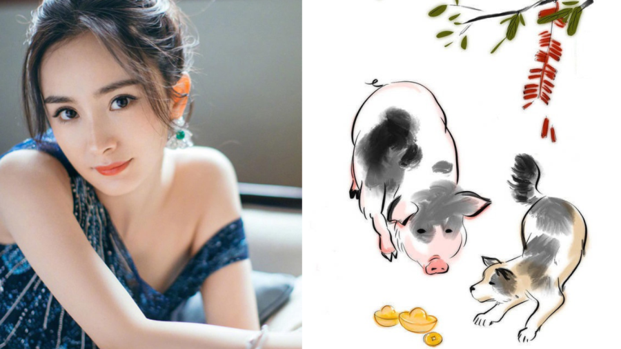 Tuổi Hợi: Không chỉ là người lãng mạn, nhạy cảm và giàu trí tưởng tượng, tuổi Hợi còn có lòng trắc ẩn và thấu hiểu. Tuy nhiên nhược điểm của con giáp này là đôi khi có thể tỏ ra thiếu quyết đoán và thiếu tự tin.