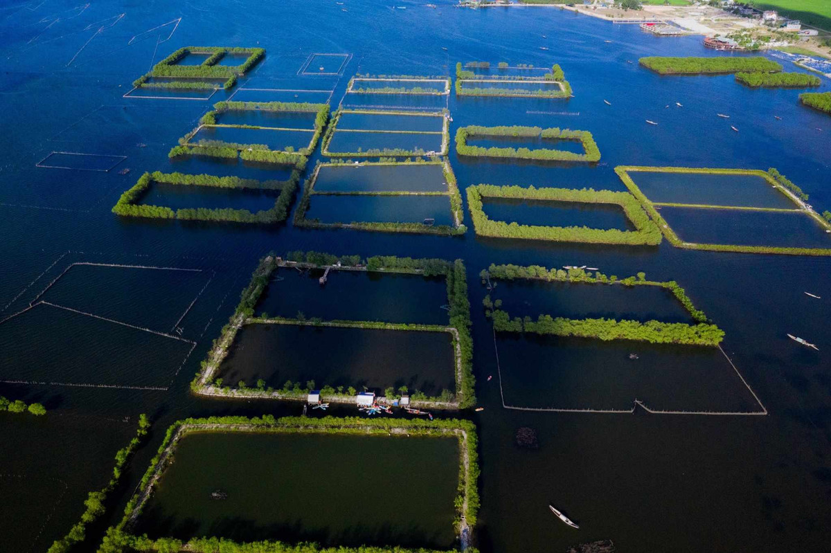 Thon chai ven pha Tam Giang thay doi, thoat mac “xom... ngai cuoi“-Hinh-8