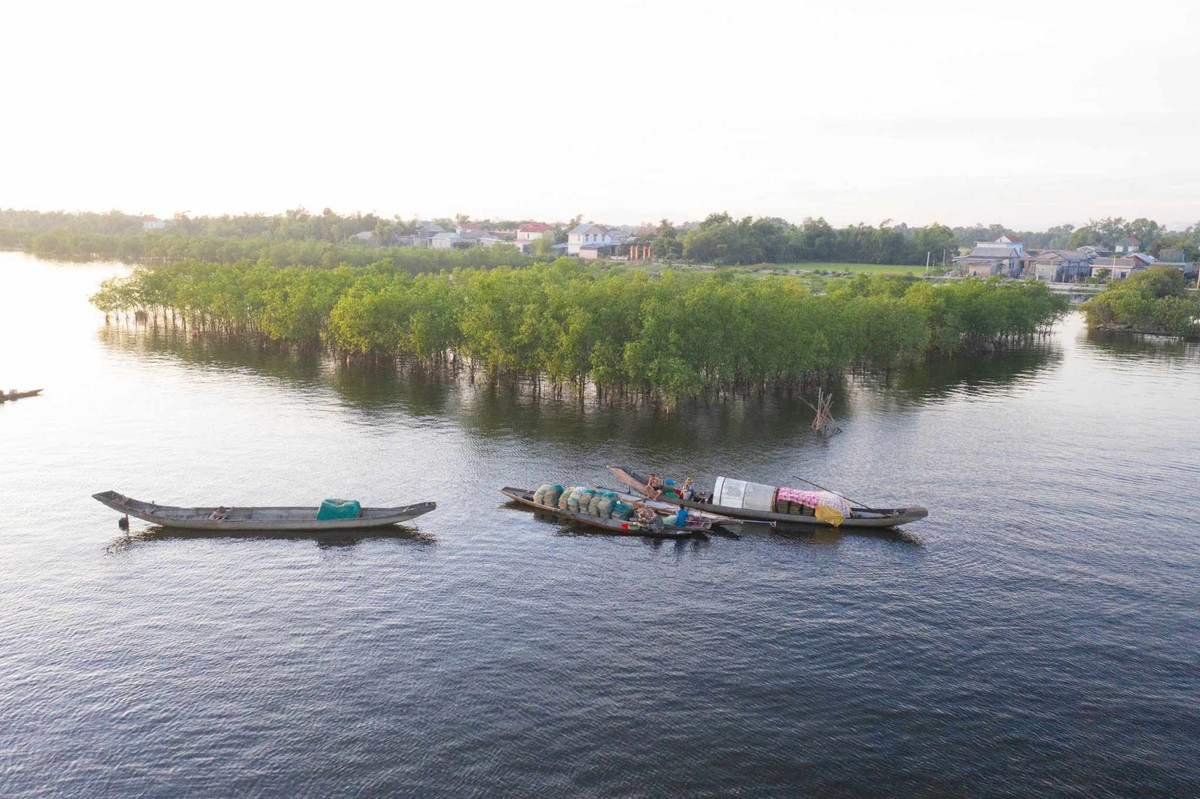 Thon chai ven pha Tam Giang thay doi, thoat mac “xom... ngai cuoi“-Hinh-3