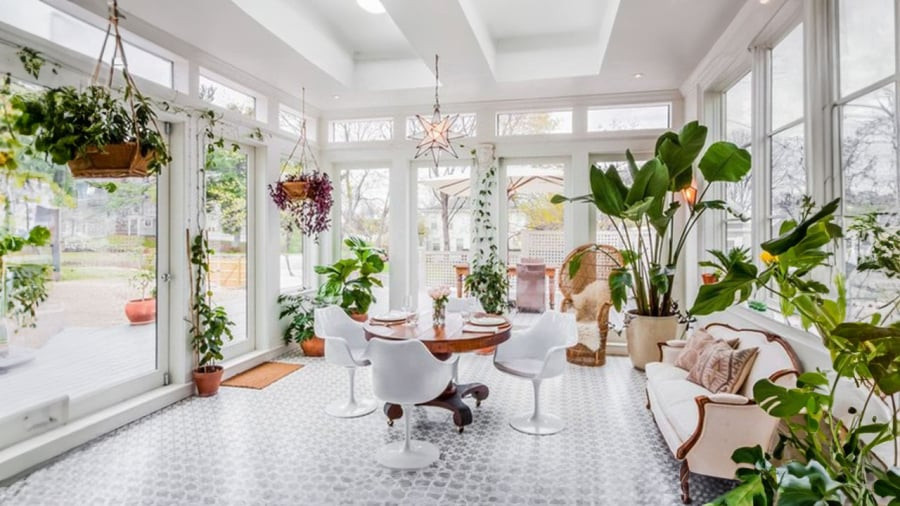 Cay canh trong nha co dau hieu nay la co diem, gia chu nen biet