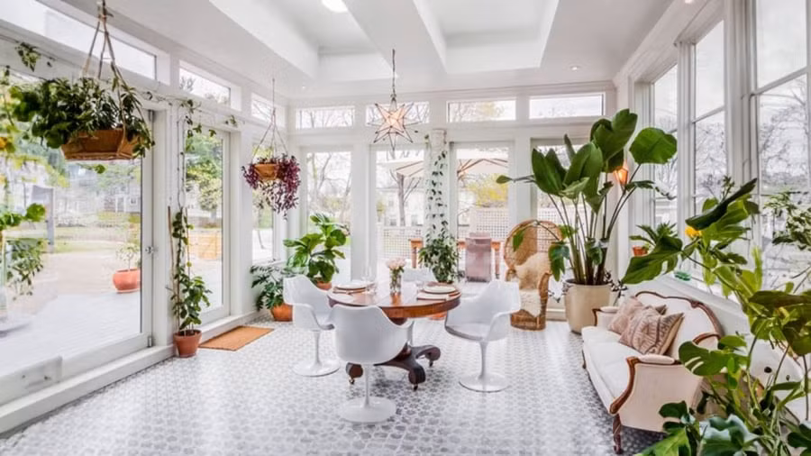 Cay canh trong nha co dau hieu nay la co diem, gia chu nen biet