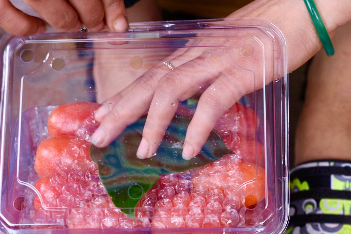 Những quả nhót chín sau khi thu mua lại từ người dân sẽ được gia đình chị Lan đóng vào hộp với trọng lượng khoảng 500g và được ngăn nhau bằng những lớp chống xóc.