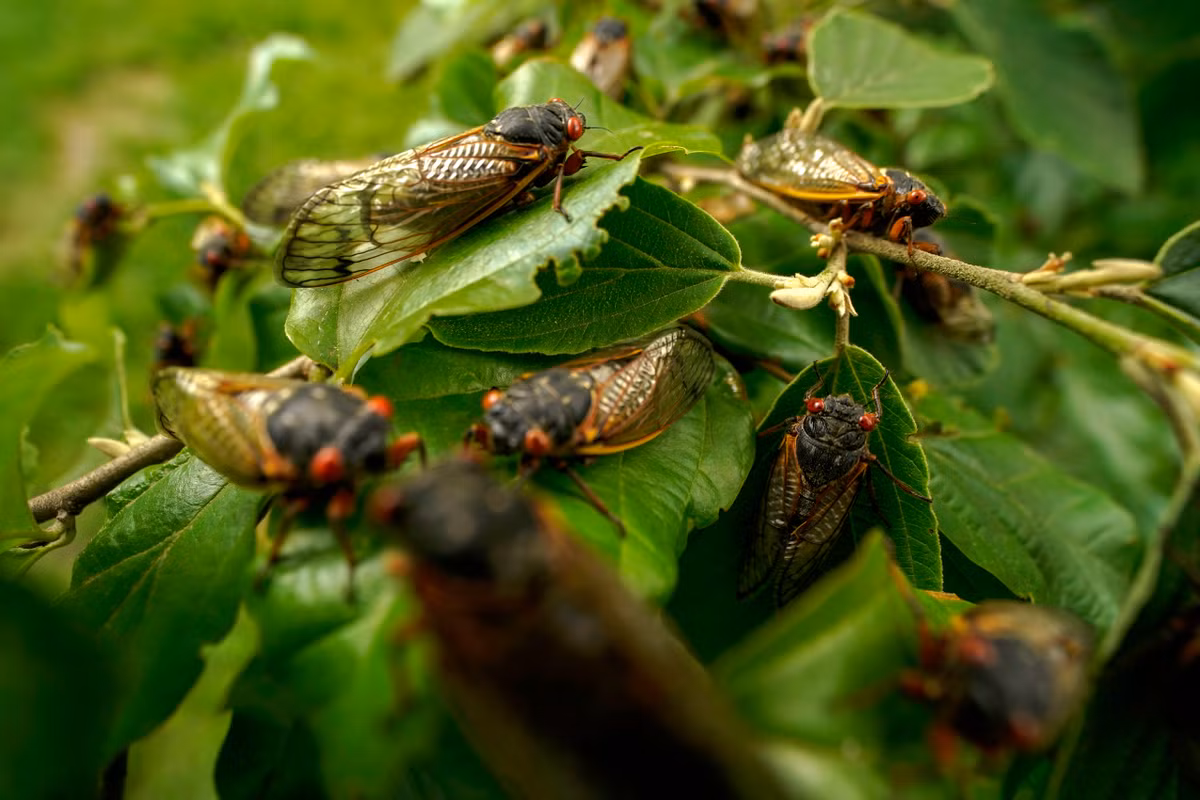 Hon 1.000 ty con con trung nay doi dat chui len o My-Hinh-3