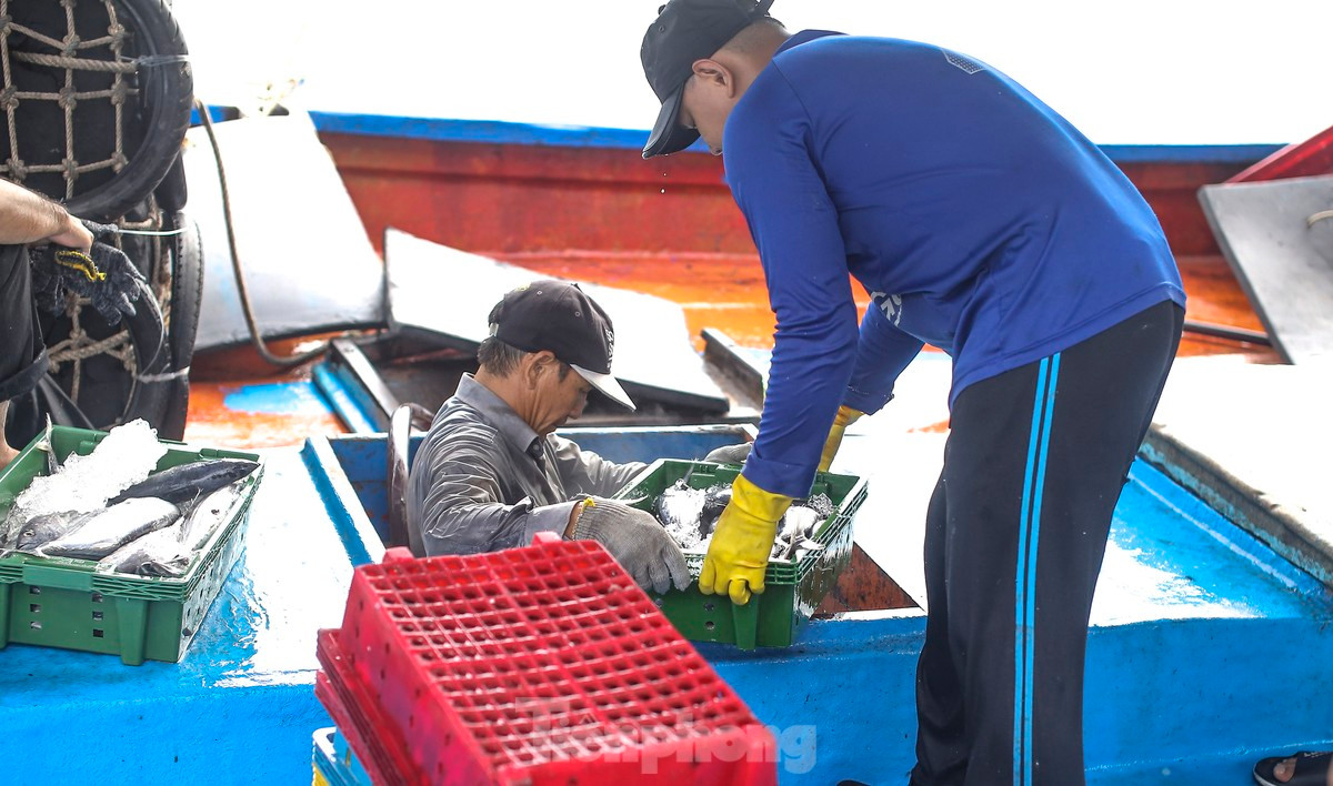 Ngu dan ban ca ngu 40-50 kg vua danh bat tu Truong Sa-Hinh-6
