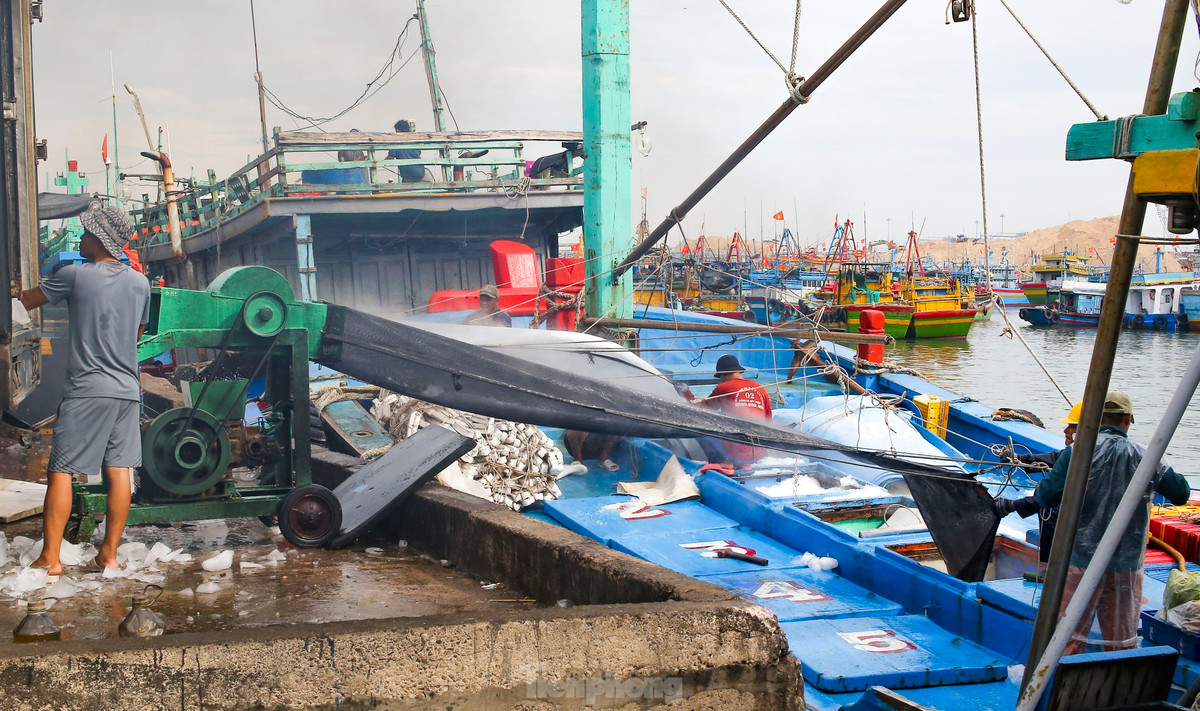 Ngu dan ban ca ngu 40-50 kg vua danh bat tu Truong Sa-Hinh-9