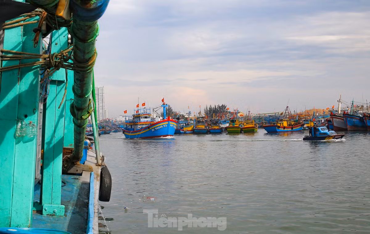 Ngu dan ban ca ngu 40-50 kg vua danh bat tu Truong Sa-Hinh-10