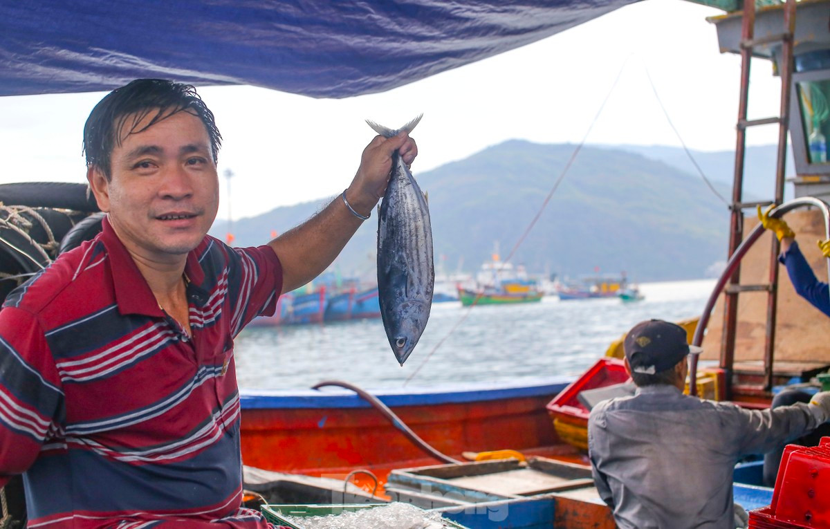 Ngu dan ban ca ngu 40-50 kg vua danh bat tu Truong Sa-Hinh-8