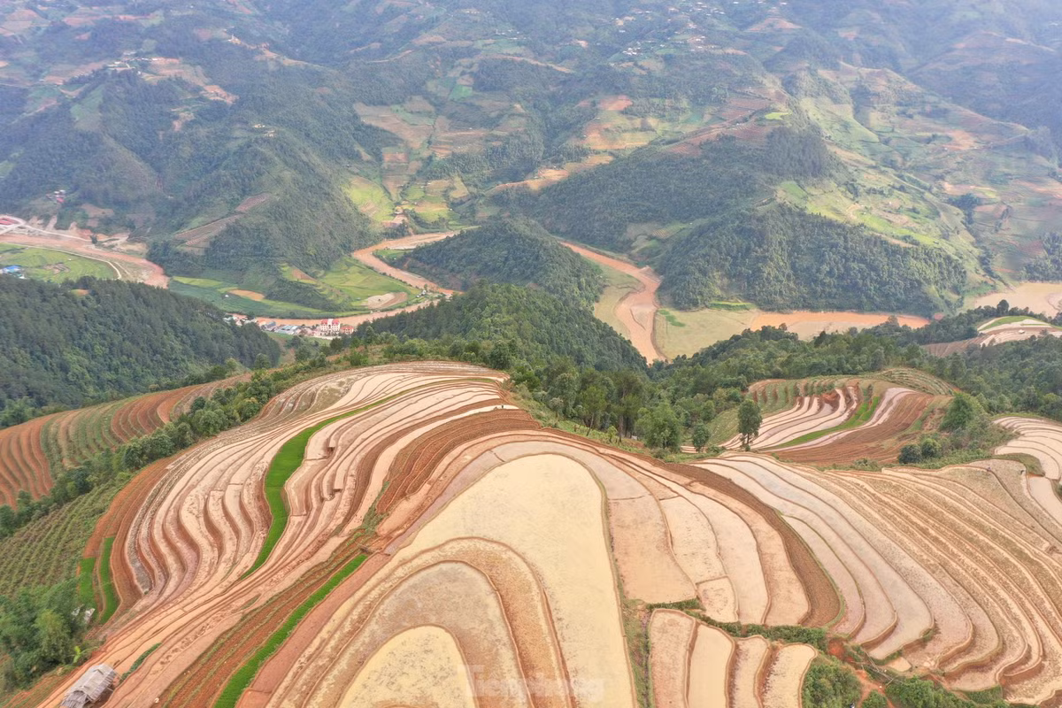 Ve dep ruong bac thang Mu Cang Chai mua nuoc do-Hinh-3
