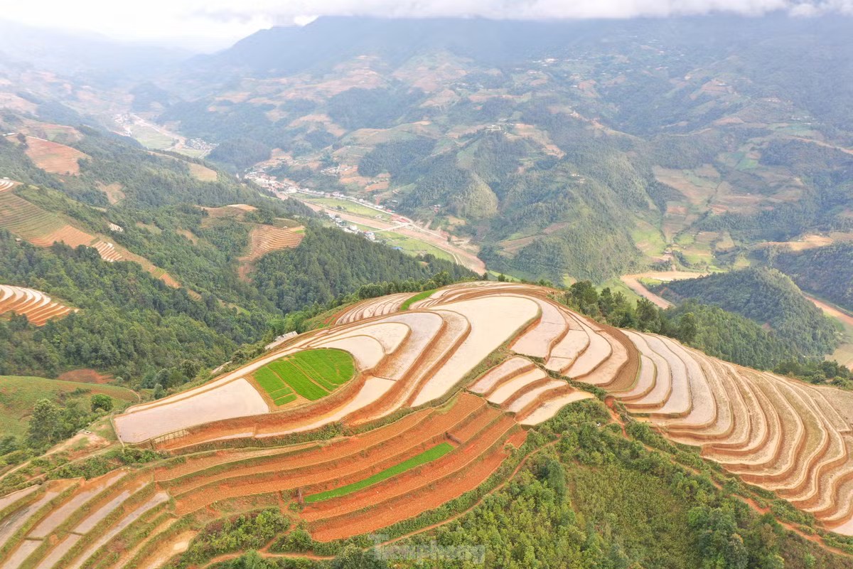 Ve dep ruong bac thang Mu Cang Chai mua nuoc do-Hinh-2