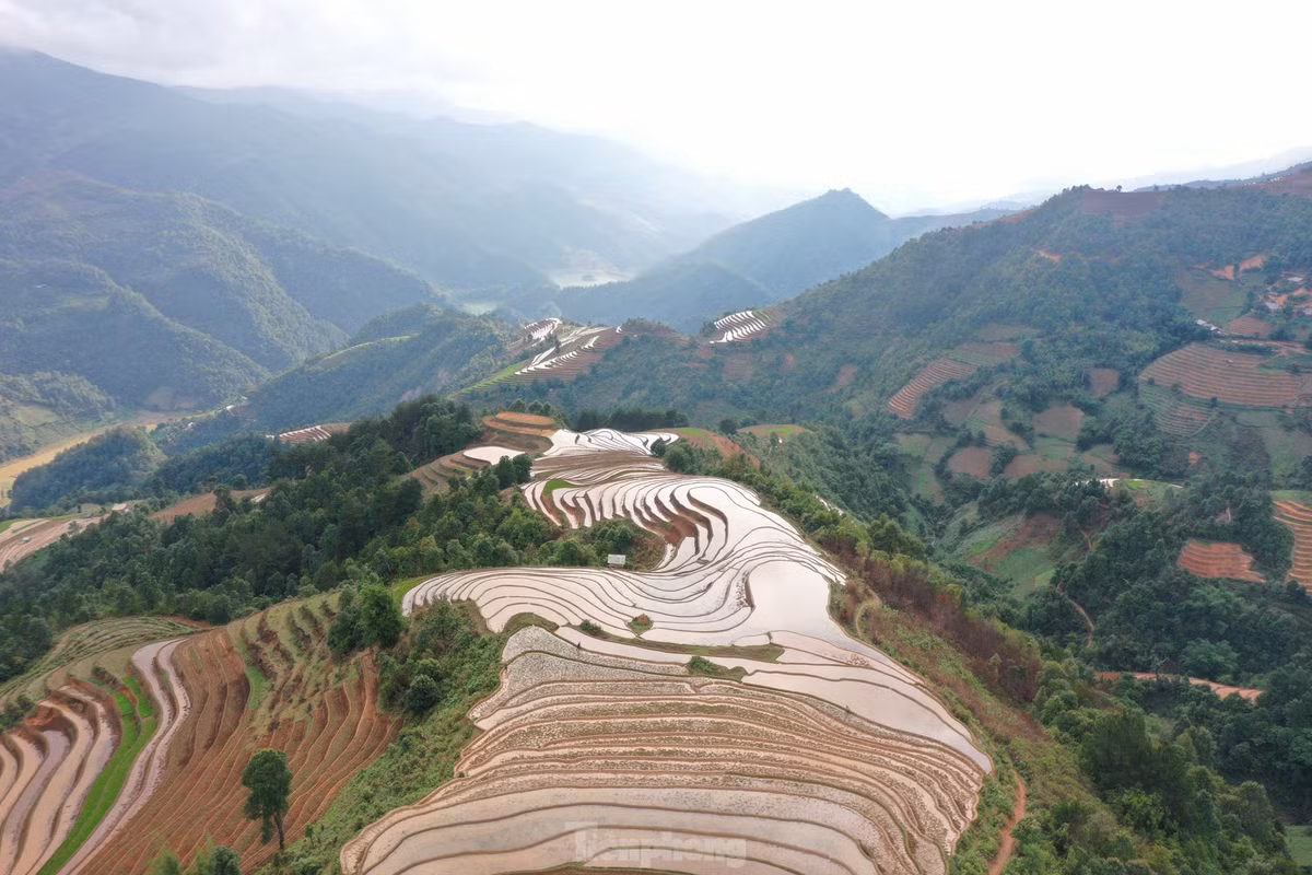 Ve dep ruong bac thang Mu Cang Chai mua nuoc do-Hinh-7