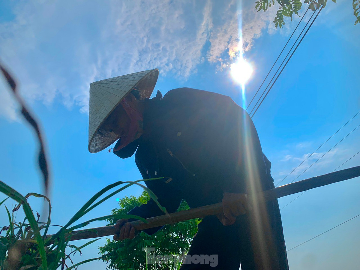 Từ 9h đến 11h tại Hà Tĩnh, nền nhiệt ngoài trời đo được vượt ngưỡng 40 độ C. Người nông dân phải tìm mọi cách chống chọi, thích nghi với nắng nóng, vất vả mưu sinh trong điều kiện thời tiết khắc nghiệt.