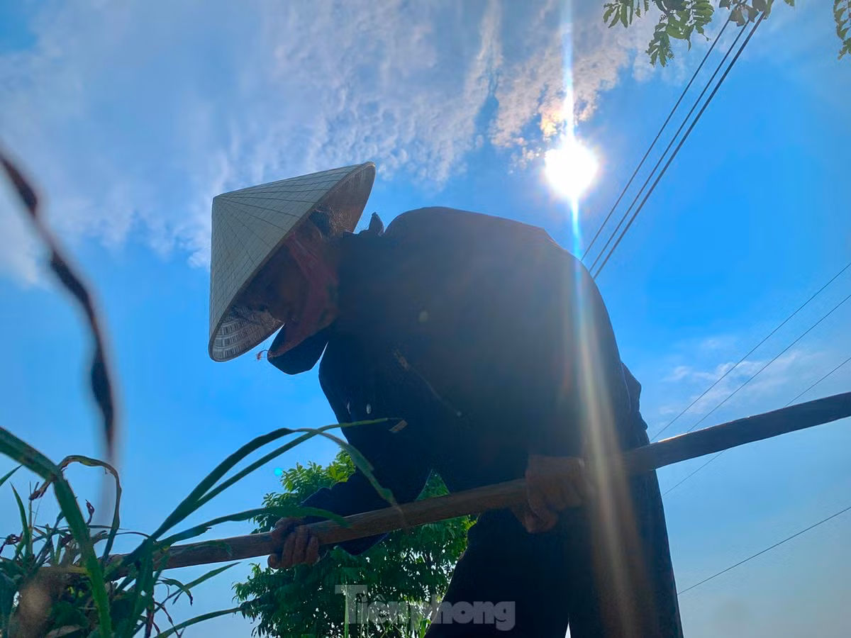 Từ 9h đến 11h tại Hà Tĩnh, nền nhiệt ngoài trời đo được vượt ngưỡng 40 độ C. Người nông dân phải tìm mọi cách chống chọi, thích nghi với nắng nóng, vất vả mưu sinh trong điều kiện thời tiết khắc nghiệt.