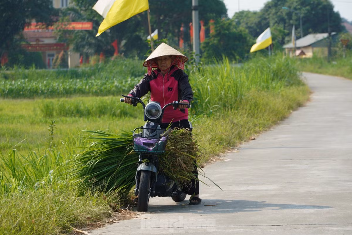 br/> Trời gần trưa, nắng càng rát, hơi nóng phả từ mặt đường khiến không khí ngày càng ngột ngạt. Theo Trung tâm Khí tượng Thuỷ văn Hà Tĩnh, từ ngày mai nhiệt độ tiếp tục tăng, khu vực ven từ 37 - 39 độ C, có nơi cao hơn, riêng khu vực miền núi nhiệt độ sẽ tăng cao. Từ ngày 29 và 30/4 khả năng là đỉnh điểm khô nóng, nhiệt tăng cao nhất đợt này, gió tây nam thổi mạnh hơn từ 40-42 độ C.