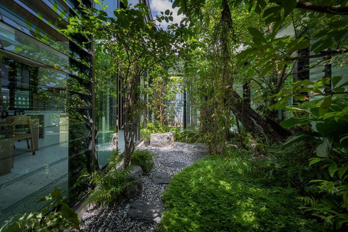 An tuong nha vuon bien cay xanh thanh dieu hoa khong khi-Hinh-7