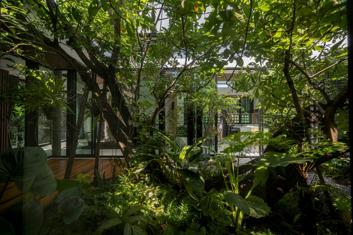 An tuong nha vuon bien cay xanh thanh dieu hoa khong khi-Hinh-17