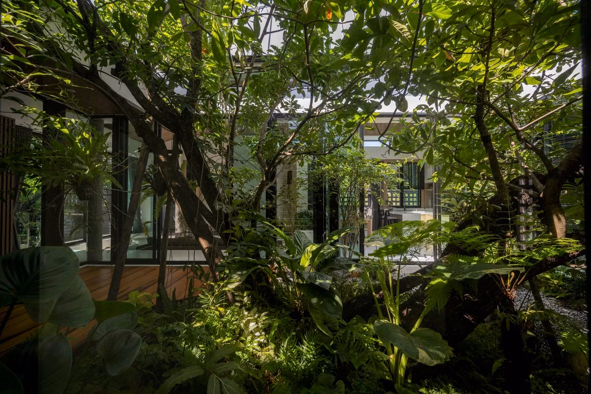 An tuong nha vuon bien cay xanh thanh dieu hoa khong khi-Hinh-17