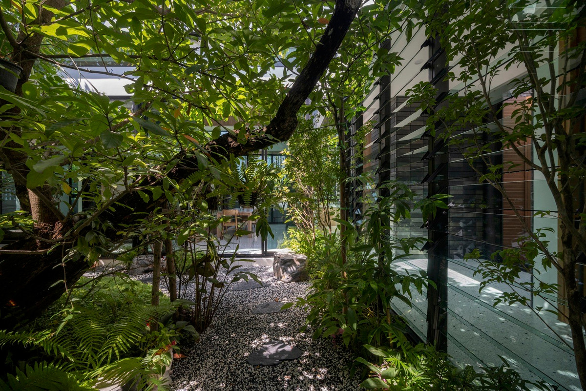 An tuong nha vuon bien cay xanh thanh dieu hoa khong khi-Hinh-4