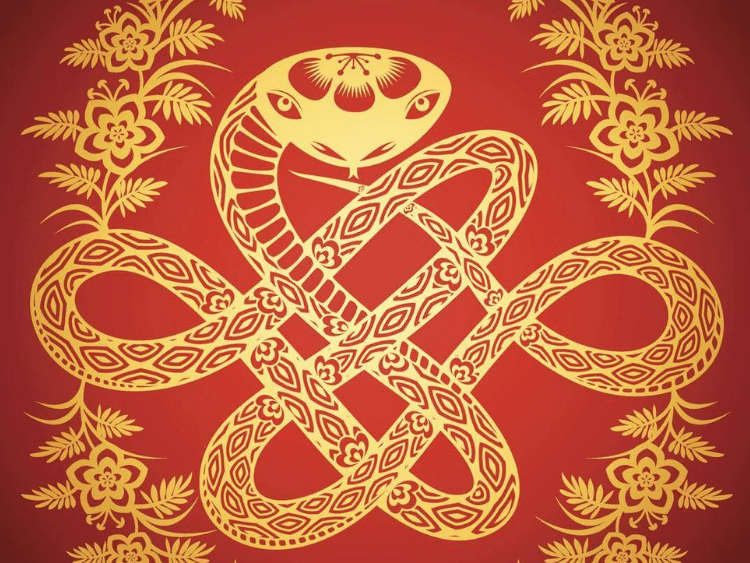 Trung niên không còn vất vả, an nhàn tương lai, dồn hết tâm huyết vào mọi ngành nghề mà mình bước vào, có thể nhanh chóng tương lai xán lạn, dễ làm ăn, nhiều tiền, và họ sẽ kiếm được nhiều tiền hơn qua từng năm. Cây lộc vừng ngày càng nở rộ, kiếm tiền và kiếm chác mỏi tay và có thể giàu lên trong một sớm một chiều.