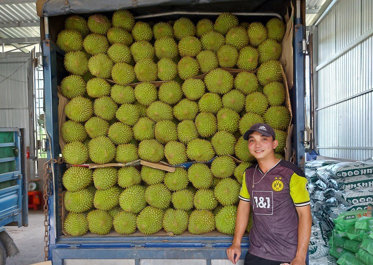 Nghe la tai Viet Nam kiem 60 trieu/thang van hiem nguoi lam-Hinh-3