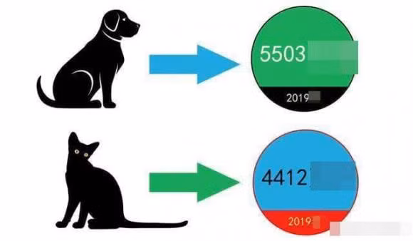 Tai sao meo cai lai lan ra san sau khi giao phoi?