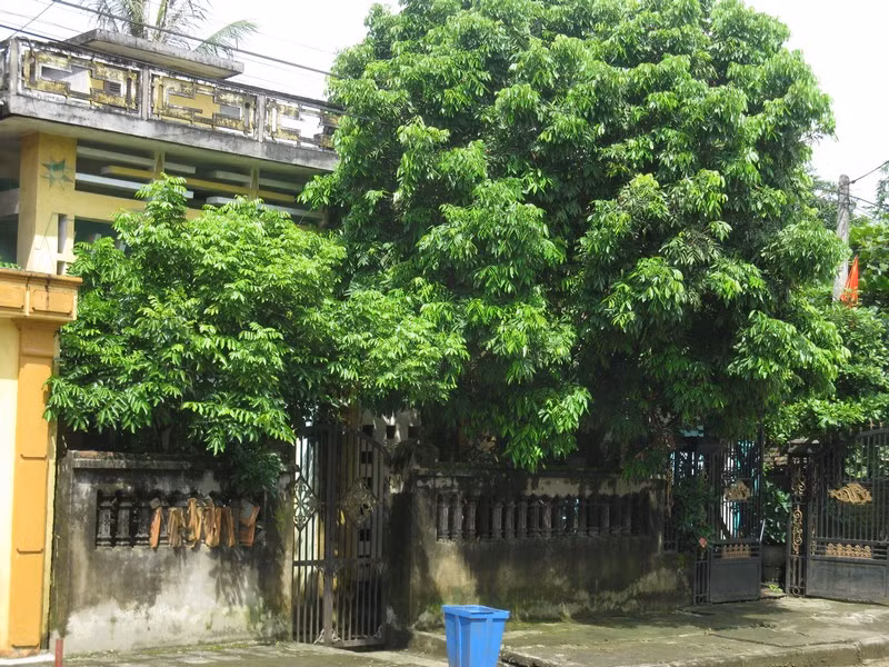  2. Có cột điện hoặc cây to chắn giữa cổng nhà: Nếu có cột điện ngay mặt tiền, nhìn vào sẽ rất khó chịu, chướng mắt, đồng thời gây bất tiện khi ra vào.Trong phong thủy, nếu trước cửa nhà xuất hiện vật cản lớn như cột điện, cây to thì ngôi nhà đó sẽ phải tiếp nhận nguồn năng lượng tiến vào đột ngột, tác động tiêu cực đến sức khỏe và tài vận của gia đình.