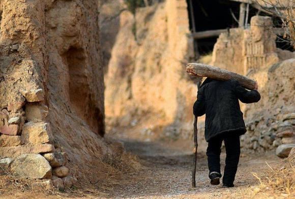 To tien co cau: “50 tuoi khong xay nha, 60 tuoi khong trong cay