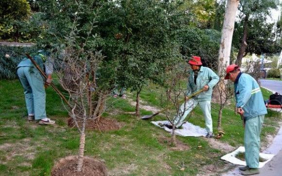 To tien co cau: “50 tuoi khong xay nha, 60 tuoi khong trong cay