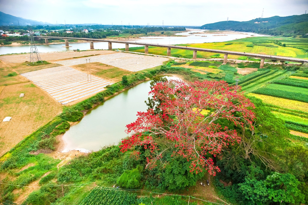 Cầu Hà Nha, dòng Vu Gia và bãi bồi rộng lớn với ruộng vườn của người dân tạo nên khung cảnh tuyệt đẹp nơi đây. Mỗi năm chỉ có một lần vào mùa Xuân, cây gạo nở hoa là dịp để người dân, du khách chiêm ngưỡng vẻ đẹp của thiên nhiên, của đất trời.