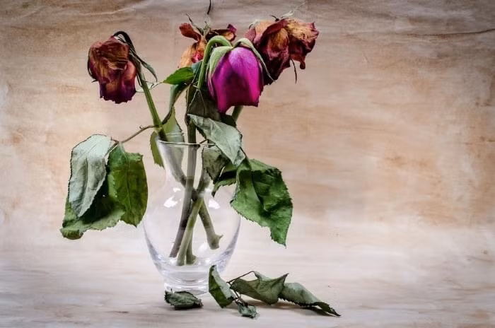 Tranh dat 9 do vat nay trong nha keo ruoc van xui