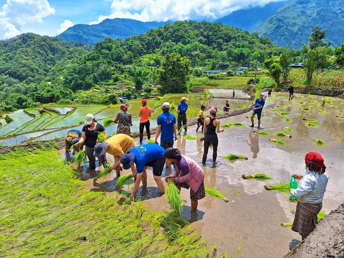 Tham “ngoi nha tren may” giua nui rung Tay Bac-Hinh-7