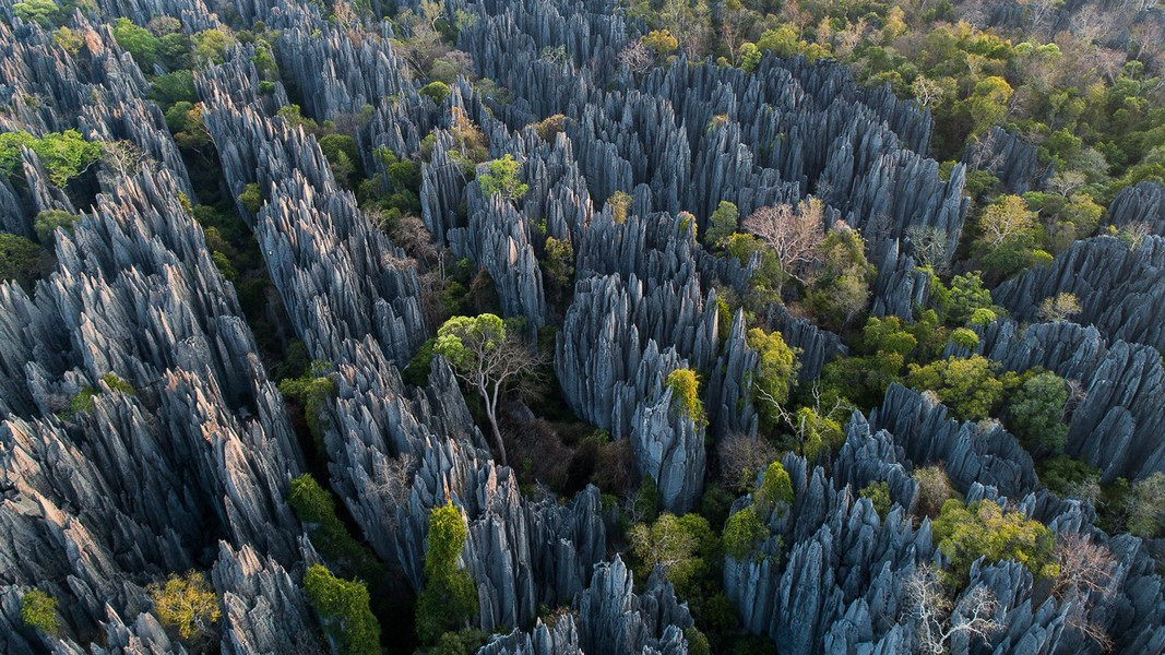 Rừng đá Tsingy phía bắc là một khu bảo tồn thiên nhiên rộng gần 531 km. Theo Geology Science/Fotolia.