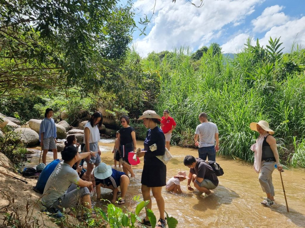 Nhung trai he, khu cam trai ly tuong danh cho tre nho-Hinh-2