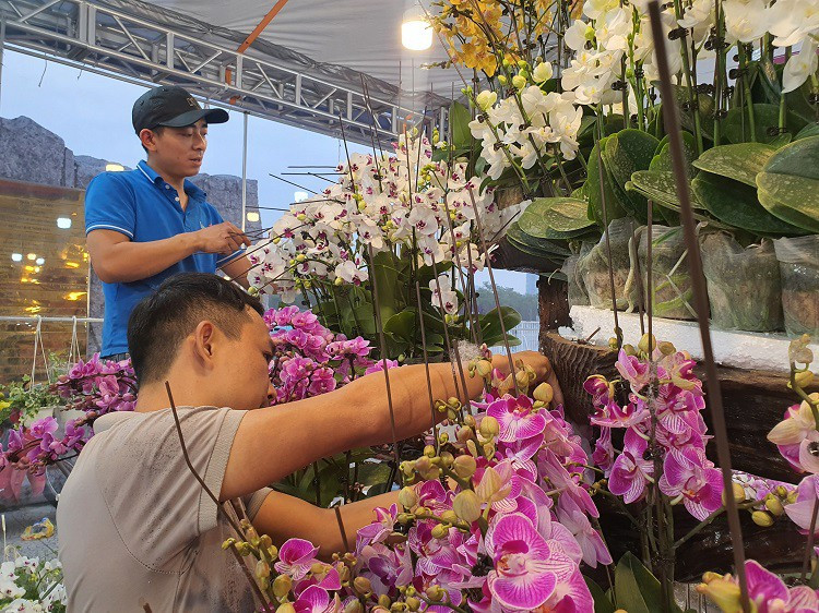 Gan Tet, cong viec nay co the kiem hang chuc trieu dong mot ngay-Hinh-5