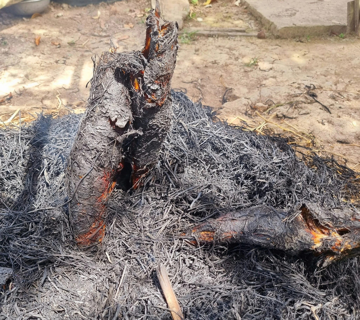 Sau Tet, nong dan Ca Mau tha cau bat ca loc dong thu ve nua trieu/ngay-Hinh-8