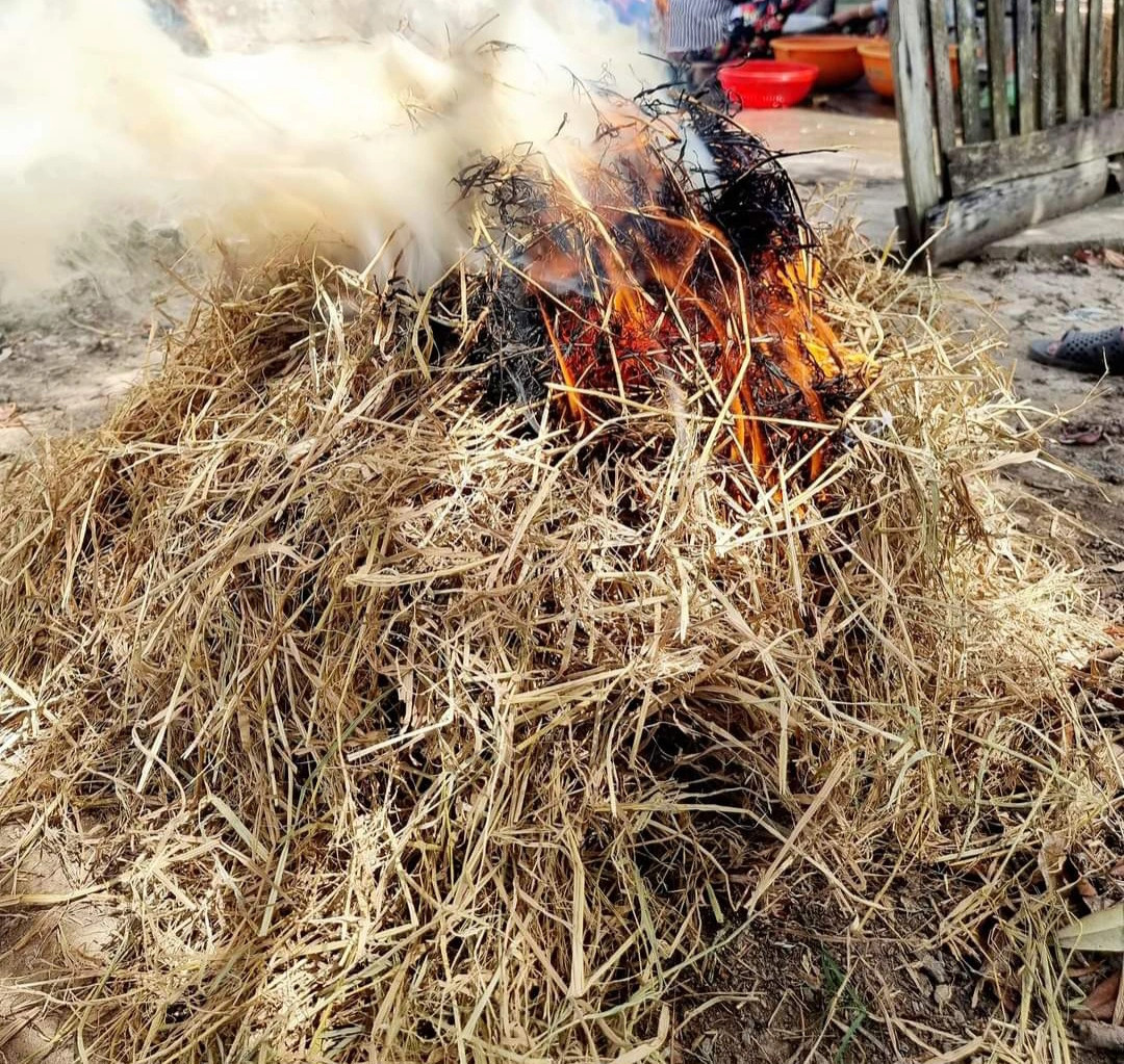 Sau Tet, nong dan Ca Mau tha cau bat ca loc dong thu ve nua trieu/ngay-Hinh-7