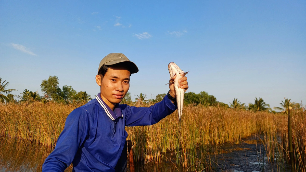 Sau Tet, nong dan Ca Mau tha cau bat ca loc dong thu ve nua trieu/ngay-Hinh-3