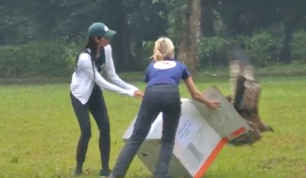 Con chim “chua te bau troi” da duoc tai tha ve tu nhien-Hinh-2