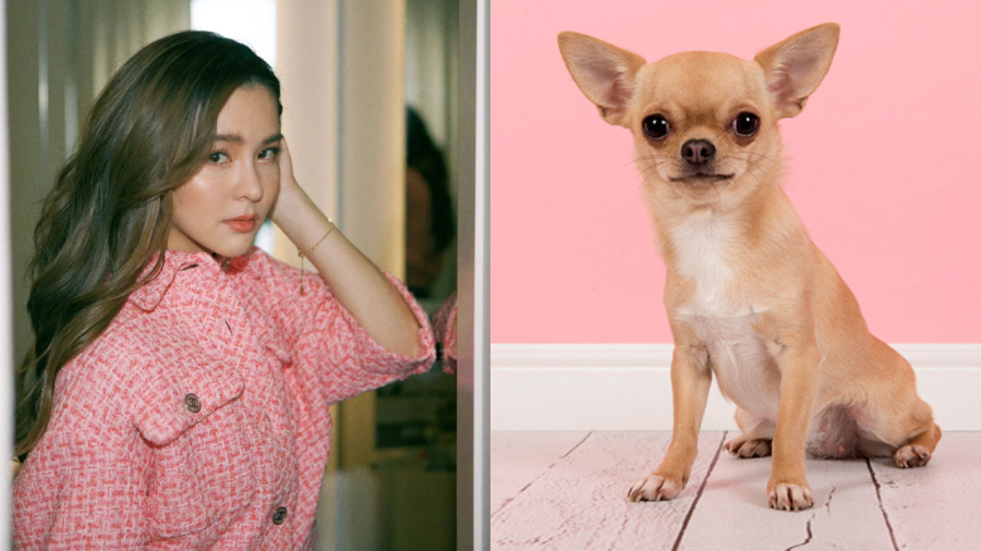 Tuổi Tuất: Trong mắt người xung quanh, tuổi Tuất là con giáp nhiệt tình, dũng cảm và nghị lực, họ luôn tràn trề tinh thần phiêu lưu, dũng cảm tiến về phía trước và không sợ nguy hiểm.