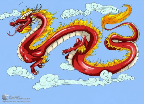  Khi treo tranh rồng thì không nên hướng đầu rồng vào phòng ngủ: Theo quan niệm của phong thủy cũng như người Á Đông, rồng được xem là vật tổ linh thiêng trong suy nghĩ của rất nhiều người. Hơn nữa, rồng cũng là biểu tượng cho sự thịnh vượng, sung túc. 